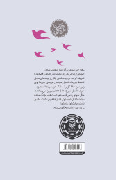 زن‌آقا - back
